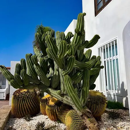 Malibu Grey Apartment Costa Adeje (Tenerife)